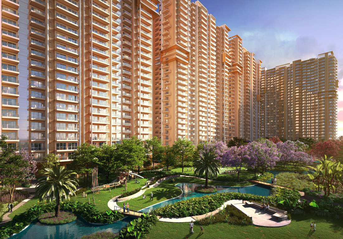 ivory county Overview